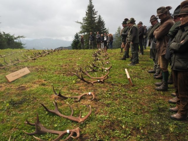 201907 - Abwurfstangenschau Rauschalm